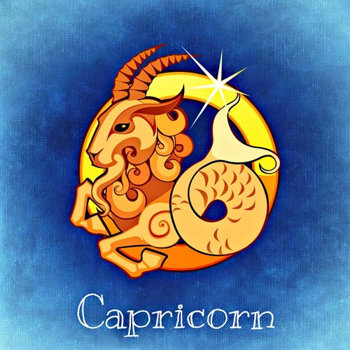 Capricorne 22 Décembre - 20 Janvier