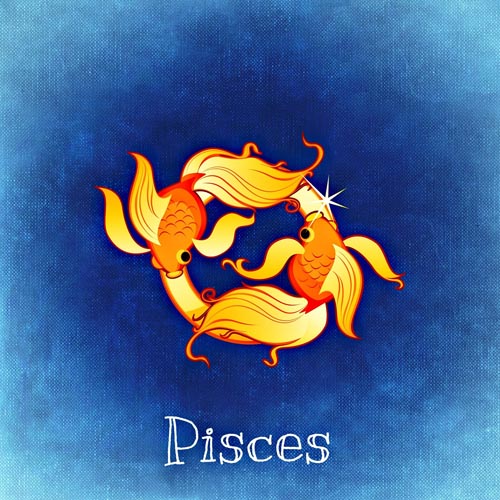 Poisson 20 février - 20 mars